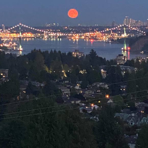 Meet your Posher, Adam - Picture 1 of 1